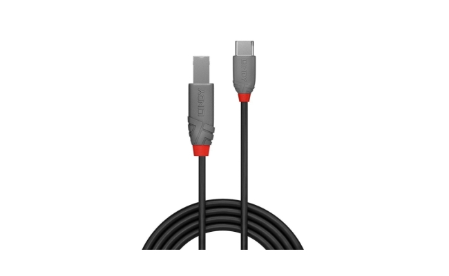 Cablu Lindy 2m USB 2.0 Tip A la Tip B "LY-36942" (timbru verde 0.18 lei)