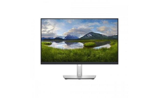 Monitor LED Dell P2422H, 23.8", Full HD IPS, 5ms, Argintiu
