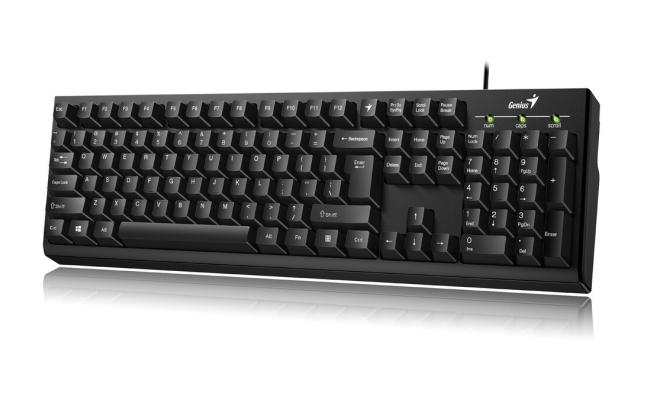 Tastatura Genius Smart KB-100 USB, 104 taste, negru (31300005400)