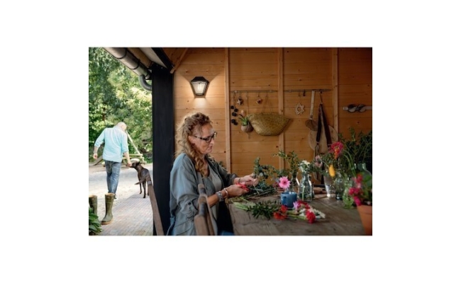 Apply (Street lamp) exterior Philips myGarden Alpenglow, Black 20757