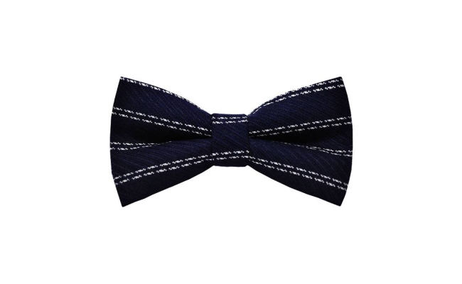 Papion Navy White Stripes