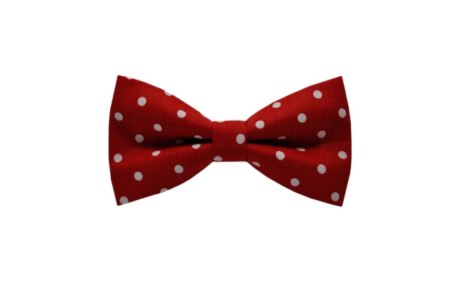 Papion White Dots&Red