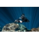 Scuterul subacvatic Waydoo Subnado Starter (5010000035) 23589